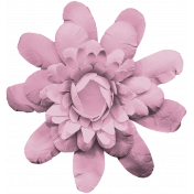 Pink Flower Endures