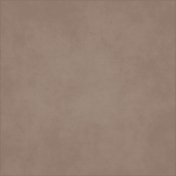 Light Brown Soulmates Solid Paper