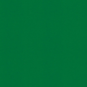 Dark Green Waiting Solid Paper