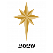 2020 Christmas Star
