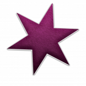 Purple felt star