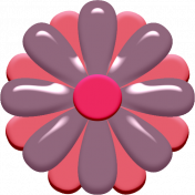Purple and Pink Flower