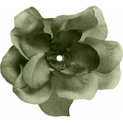 MSC- Green Flower