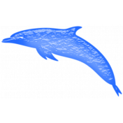 Glassy Beach- Dolphin 1