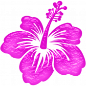 Glassy Beach- Flower Hibiscus 1