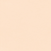 Autumn Day_Paper Solid Beige Light