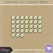 Christmas Day- Advent Brad Star Silver