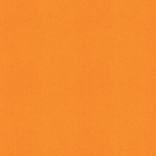 BYB2016- Paper Solid Orange