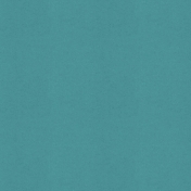 Picnic Day- Paper Solid Blue