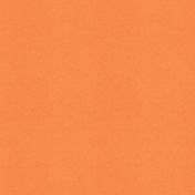 Picnic Day- Paper Solid Orange