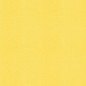 Picnic Day- Paper Solid Yellow