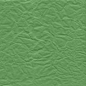 Picnic Day- Paper Crumpled Green