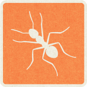 Picnic Day_Pictogram Chip_Orange_Ant