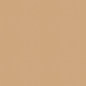 Sparkling Season- Paper Solid Brown
