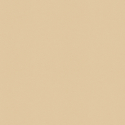 Sparkling Season- Paper Solid Tan