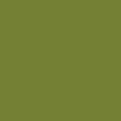 Sparkling Season- Paper Solid Green- UnTextured