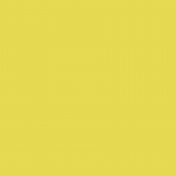 Sparkling Season- Paper Solid Yellow- UnTextured