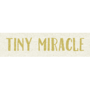 Pumpkin Spice- Tag Tiny Miracle