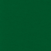 Winter Wonderland Christmas- Paper Solid Dark Green