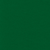 Winter Wonderland Christmas- Paper Solid Dark Green