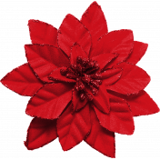 Winter Wonderland Christmas- Poinsettia Red