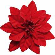 Winter Wonderland Christmas - Poinsettia Red
