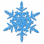 Snowflake – Winter 2020 (2/2)