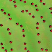 Paper- Ladybugs