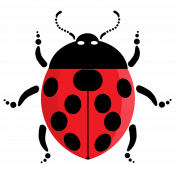 Ladybug 4/4