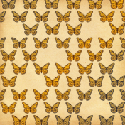 Paper- Golden butterflies