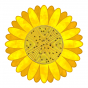 Sunflower in yellow