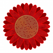 Sunflower in red