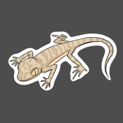 Lizard 1- Petrii Gecko (Sticker)