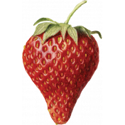 Fruitopia Kit Strawberry 2