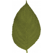 Autumnus Kit Leaf