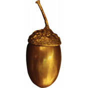 Gold Acorn