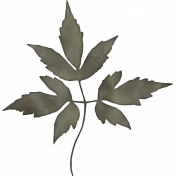 Bone-A-Fied Leaf 1