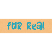 Cattitude Fur Real