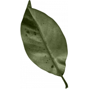 HTYD Leaf