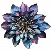 Blue, Lavender, Black Flower