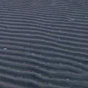 Sandy Wave Patterns
