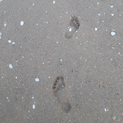 Sandy Footprints