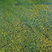 River Green Water