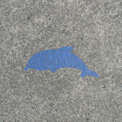 Painted Dolphin On Concrete