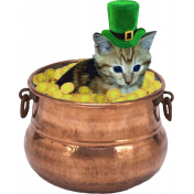 Kitten In A Pot Of Gold- Special Days
