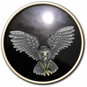 Owl By Moonlight