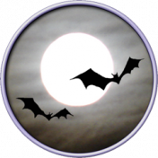 Moon Bats- Special Days