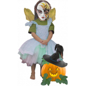 Fairy Pumpkin- Special Days