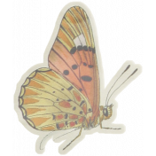 Shabby Vintage #3 Butterfly Ephemera 11