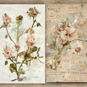 Shabby Vintage #8 - Paper 07